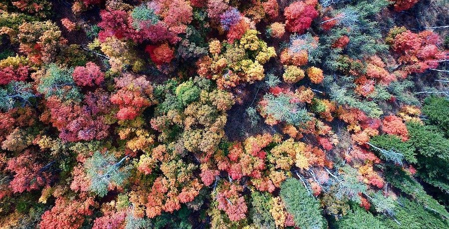 national-park-drone-rules