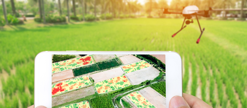 Thermal-Imaging-in-Drones